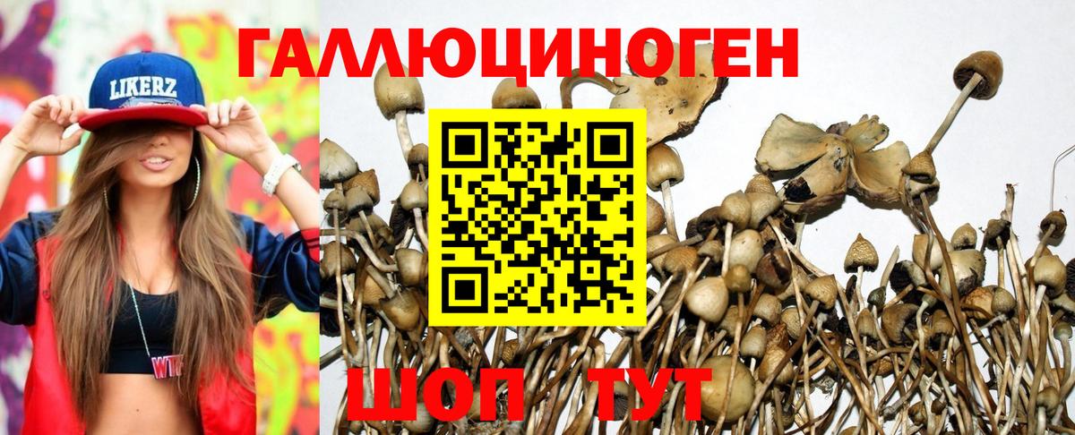 Галлюциногенные грибы GOLDEN TEACHER Бузулук