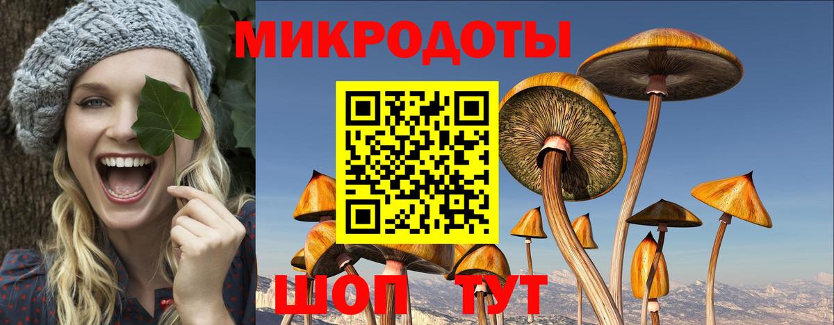 Псилоцибиновые грибы ЛСД  Вход с VPN  Бузулук 